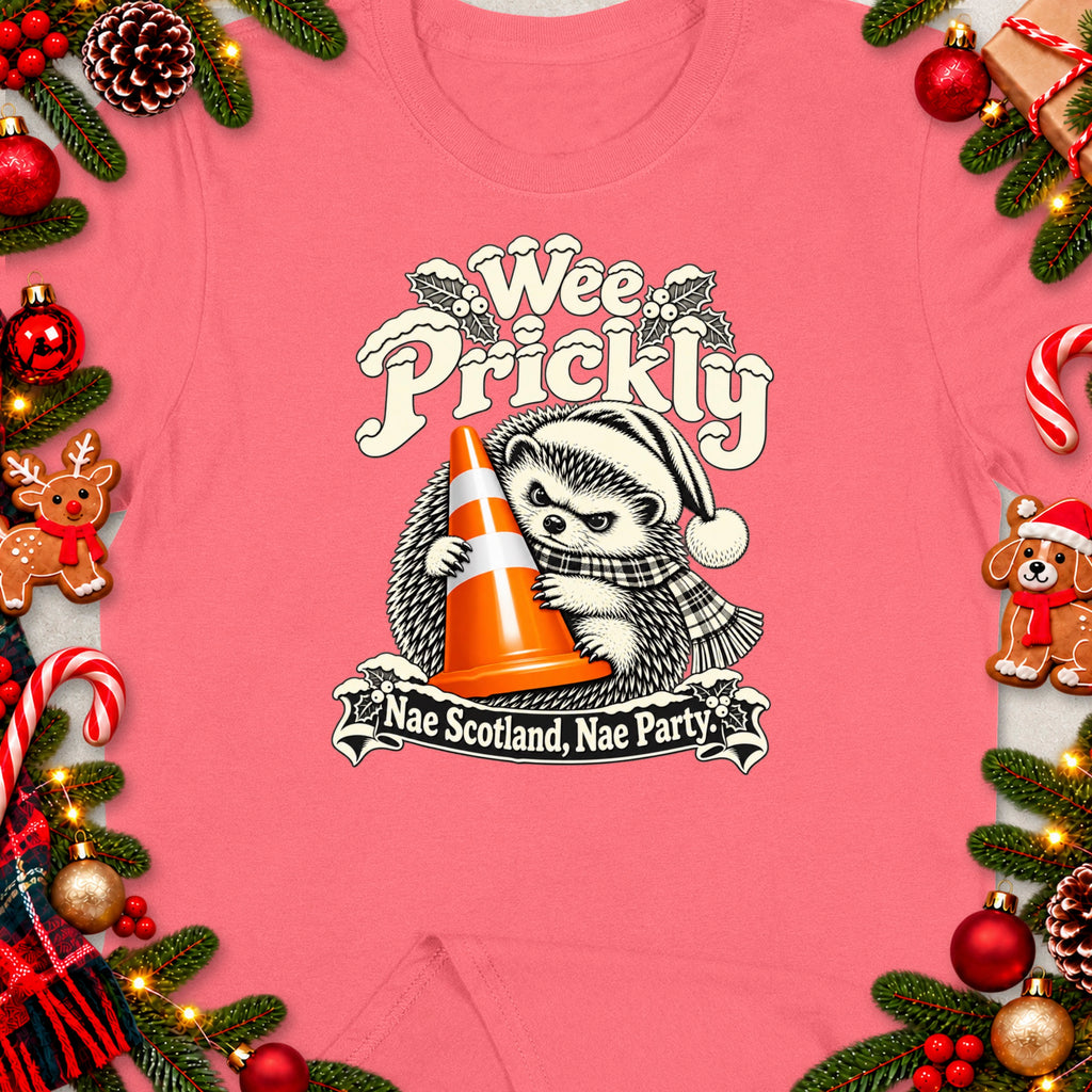 Hedgehog in Santa hat holding orange cone, text "Wee Prickly Nae Scotland, Nae Party."