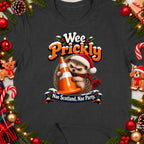Hedgehog wearing Santa hat holding traffic cone, text "Wee Prickly Nae Scotland, Nae Party."