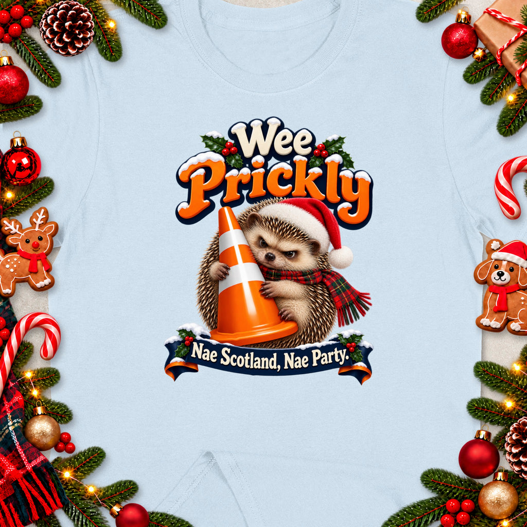 Hedgehog wearing Santa hat and scarf holding traffic cone with text "Nae Scotland, Nae Party".
